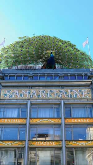 Feather Floats Toward the Peacock in a fake-out-of-home ad of Samaritaine Paris