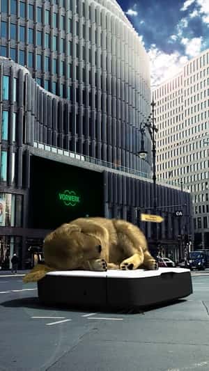 Vacuum Cleaner with Sleeping Dog in a fake-out-of-home ad of Kobold