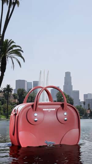 Bag Cruising Above the Lake in a fake-out-of-home ad of Maison Kitsuné