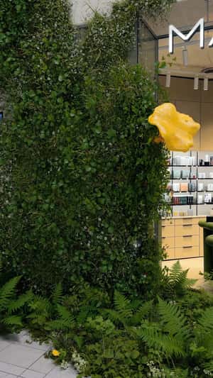 Green Plants Bloom at Store in a fake-out-of-home ad of MÁDARA