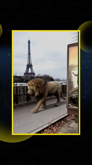 Lion Enters Theater in a fake-out-of-home ad of Disney