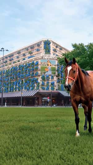 Blue Flowers Bloom on Façade in a fake-out-of-home ad of Galeries Lafayette