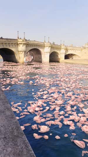 Hair Oil Bottle Floats in Flower-filled River in a fake-out-of-home-ad of Kérastase