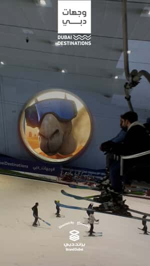 Camel Peeks Through the Window in a fake-out-of-home ad of BrandDubai