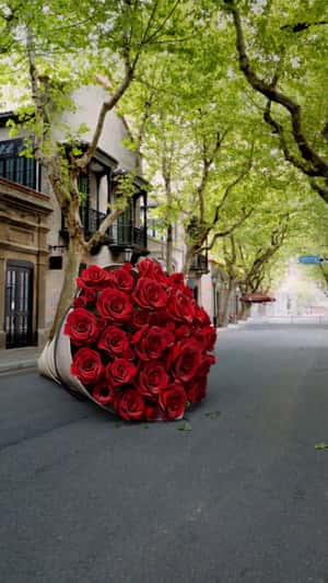 Giant Roses bouquet in fake-out-of-home ad of Zara
