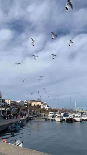 Storks Carrying Shopping Bags in a fake-out-of-home ad of Sephora