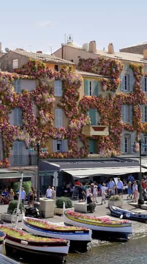 Flowers Bloom on Apartment in a fake-out-of-home ad of Banque Populaire