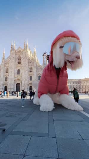 Giant Dog Poses at Cathedral in a fake-out-of-home ad of Benetton