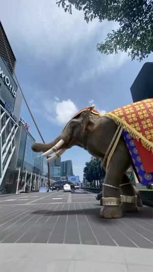 Elephant Drops Phones from Cage in a fake-out-of-home ad of CASETiFY