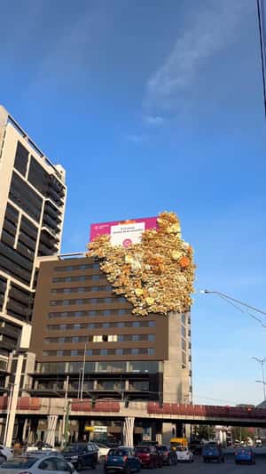 Yellow Flowers Bloom on Rooftop ni a fake-out-of-home ad of Enviaflores