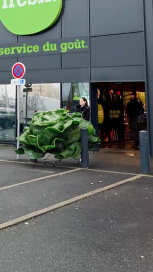 Massive Lettuce on Shopping Carts in a fake-out-of-home ad of Fresh.
