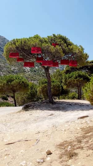 Red Bags hanging from Tree in Provence in fake-out-of-home ad of Jacquemus