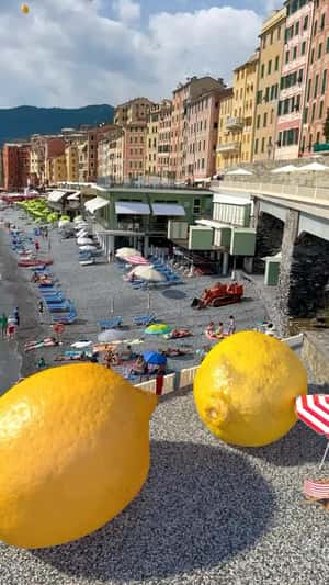 Lemons Falling From Sky in fake-out-of-home ad of Jacquemus