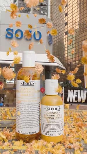 Flowers Rain Over Toner in a fake-out-of-home ad of Kiehl's