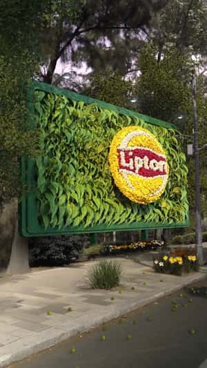 Tea Leaves Shape a Bottled Drink in a fake-out-of-home ad of Lipton Ice Tea
