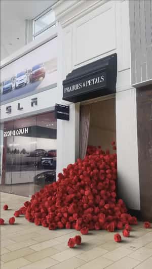 Red Roses Overflow in Mall Walkway in a fake-out-of-home ad of Prairies and Petals