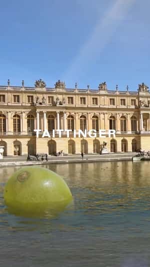 Giant Grape Splashes on Water in a fake-out-of-home ad of Champagne Taittinger
