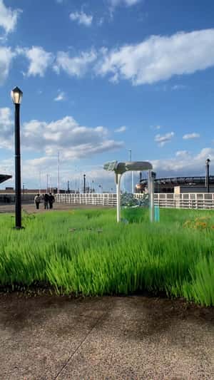Laptop Turns Ground into Green Field in fake-out-of-home ad of Lenovo