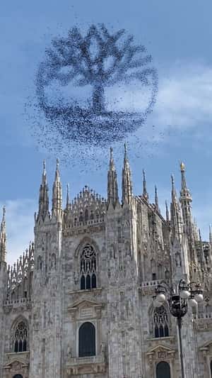 Birds Form Tree Logo in a fake-out-of-home ad of Timberland