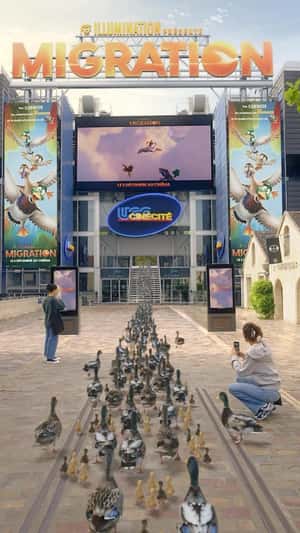 Cinemas Ducks Parade Into Movie Theater in a fake-out-of-home ad of UGC Cinemas
