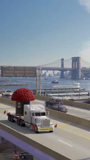 Giant Rose Dome Travels in a fake-out-of-home ad of Venus et Fleur