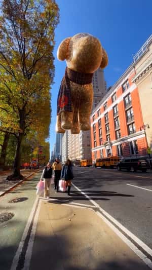 Giant Dog Balloon in a fake-out-of-home ad of Victoria's Secret PINK
