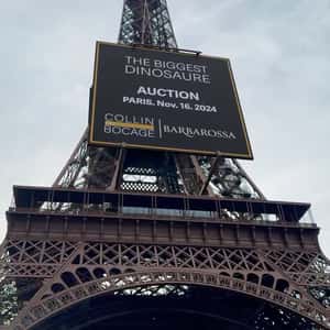 Dinosaur Skeleton in a fake-out-of-home ad of Collin du Bocage