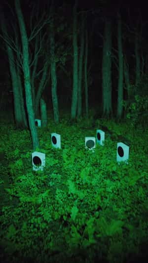 Consoles Spotted in the Forest in a fake-out-of-home ad of XBOX