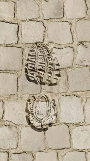 Sneaker Print Engraved in fake-out-of-home ad of Lacoste