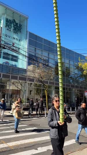 Carrying Towering Ice Cream Stack in a fake-out-of-home ad of Graza
