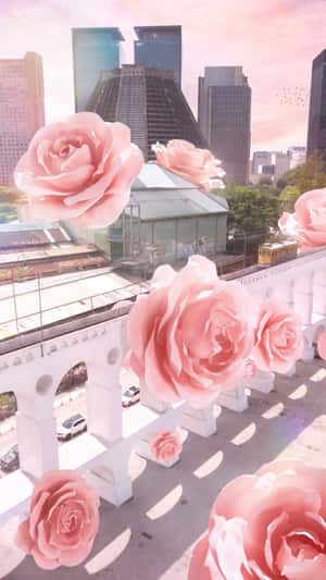 Pink Roses Bloom in fake-out-of-home ad of Reserva