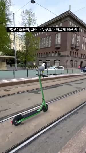 Seagull Rides Electric Scooter in a fake-out-of-home ad of Musinsa