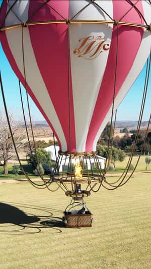 Hot Air Balloon Lands with Zebra at Ground The Venue in a fake-out-of-home ad of LMC