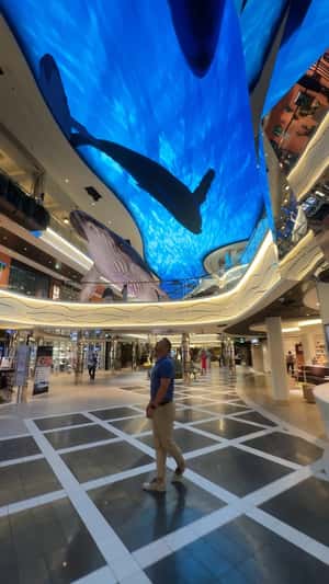 Humpback Whales Inside Ship in a fake-out-of-home ad of MSC Cruises