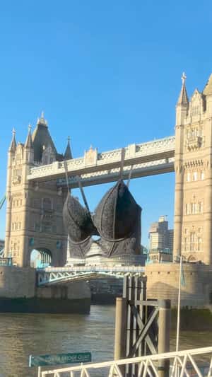 Black Bra Hangs at Tower Bridge in fake-out-of-home ad of Marks & Spencer