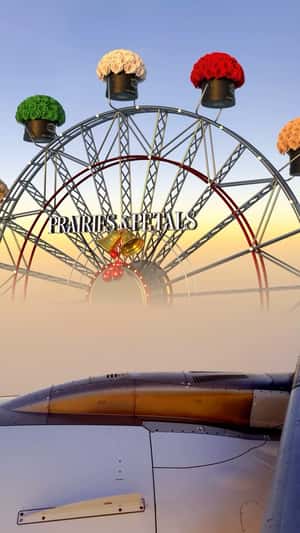 Giant Ferris Wheel in a fake-out-of-home ad of Prairies & Petals