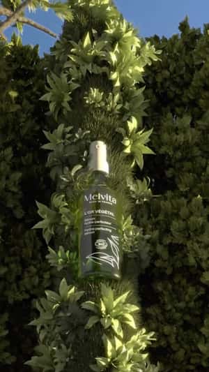 Serum Transforms City to Forest in a fake-out-of-home ad of Melvita