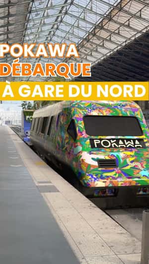 Hawaiian Theme Installation on Train in a fake-out-of-home ad of Pokawa