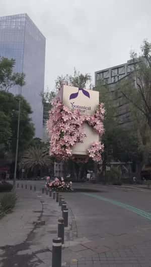 Giant Box Floats Above City in a fake-out-of-home ad of Botanical Doctor