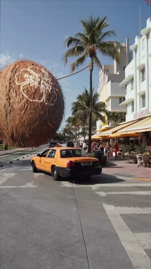 Giant Husked Coconut Swings in fake-out-of-home ad of Kulani Kinis