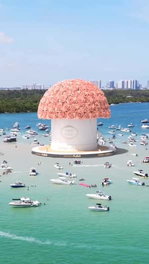 Giant Bouquet at Haulover Sandbar in a fake-out-of-home ad of Venus et Fleur