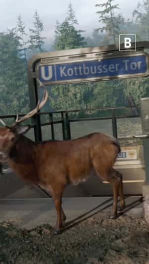 City Turns Into Nature Scene in a fake-out-of-home ad of Wir Berlin