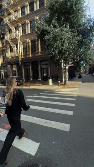 Koala Sighting in NYC in a fake-out-of-home ad of WeWearAustralian