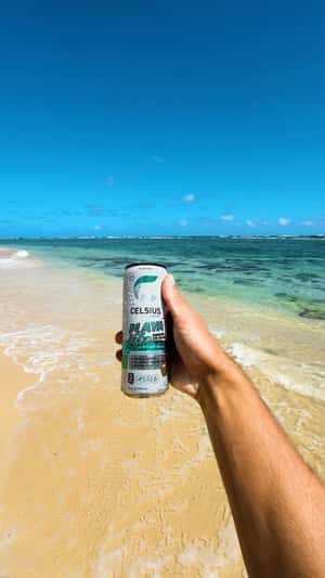 Can Drops From Coconut Tree in a fake-out-of-home ad of Celsius Energy Drink