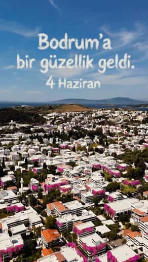 Branding Sweeps Across Yalıkavak in a fake-out-of-home ad of Sephora