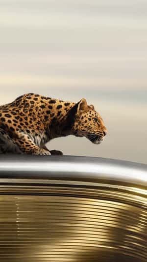 Panther Runs Across Brooklyn Bridge in a fake-out-of-home ad of Cartier