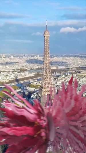 Pink Dragon Paris to Shanghai fake-out-of-home ad of L'Oréal Paris