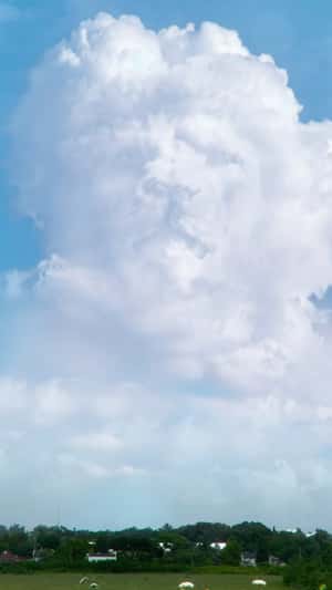 Mufasa Cloud Appear Above Field in fake-out-of-home ad of Disney Studios