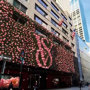 Secret Façade Rose Vertical Garden in a fake-out-of-home-ad of Victoria’s Secret