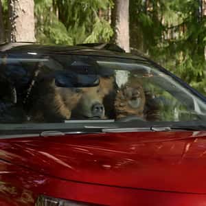 Grizzly Bear Grooving Inside the Car in a fake-out-of-home ad of Citroën
